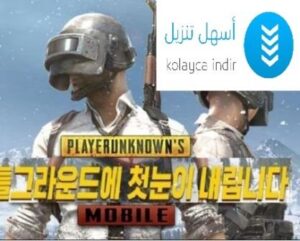 تحميل لعبة ببجي الكورية للكمبيوتر