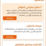 تنزيل تطبيق هدهد hodhod المساعد الذكي للفلاح