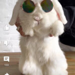 تطبيق يوتيوب