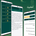 برنامج مسلمونا برو