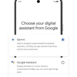 تنزيل تطبيق Google Gemini اخر اصدار 2024 للاندرويد و الايفون 2024 مجانا.