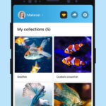 Picture Fish – Fish Identifier