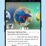 Picture Fish – Fish Identifier