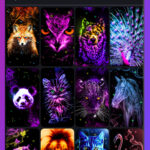 WALLPS – Moving Backgrounds