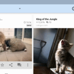 rif is fun golden platinum for Reddit