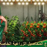 Last Fortress Underground