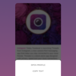 تطبيق Insget مهكر