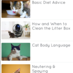 تحميل تطبيق Cat Training