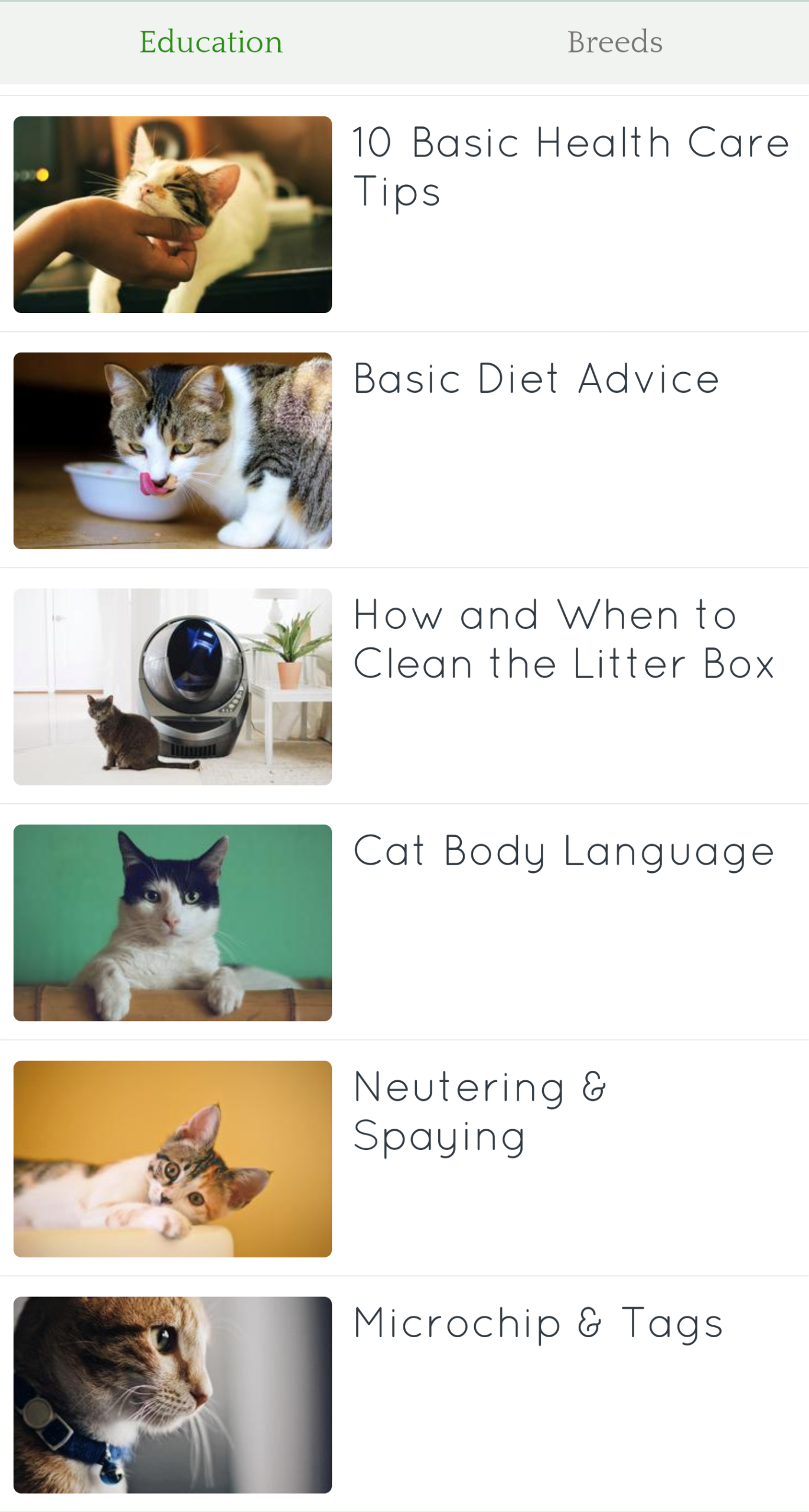 Cat Training