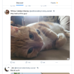 برنامج بلوسكاي Bluesky
