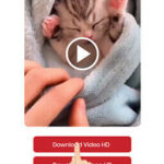 تنزيل تطبيق Pinterest Video Downloader مهكر