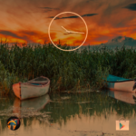 تحميل تطبيق CF Lumen