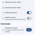 تطبيق spotube app