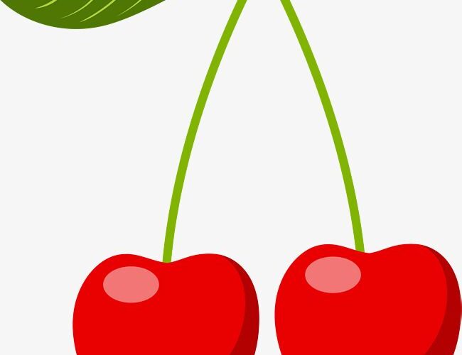 تحميل برنامج تدوين الملاحظات CherryTree للكمبيوتر والاندرويد 2025 برابط مباشر