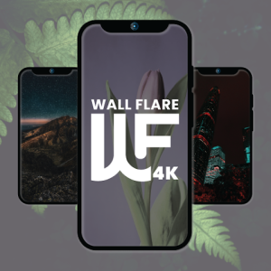 تحميل تطبيق wallpaper flare مهكر للاندرويد والايفون 2026 من ميديا فاير