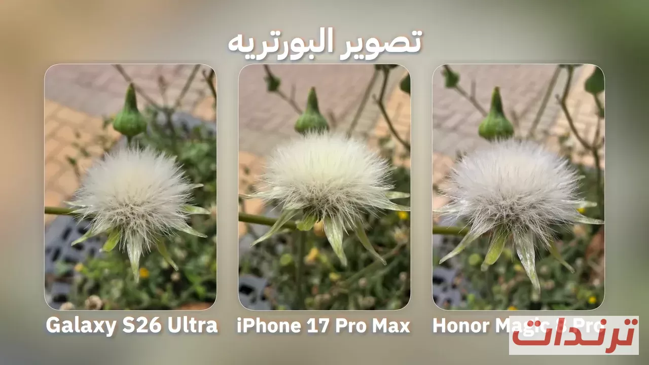مقارنة تصوير البورتريه الخلفي بين الهواتف الثلاثة